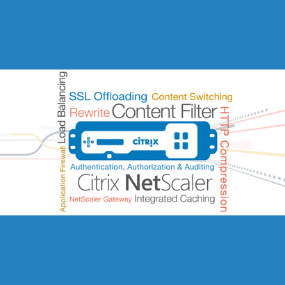Try-Catch Lab Portfolio - Citrix NetScaler Programming